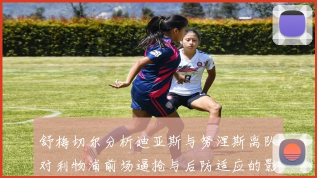 舒梅切尔分析迪亚斯与努涅斯离队对利物浦前场逼抢与后防适应的影响